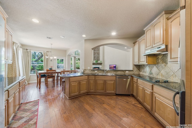 3329 Navasota Cir, San Antonio, TX 78259 - kitchen with dishwasher, under cabinet range hood, black electric cooktop, dark wood-style flooring, and recessed lighting