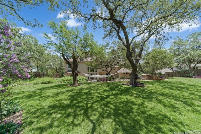 3329 Navasota Cir, San Antonio, TX 78259 - view of yard