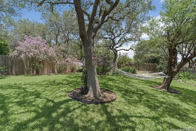3329 Navasota Cir, San Antonio, TX 78259 - view of fenced backyard