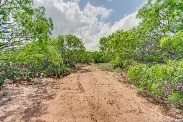 551 Pr Mia, Floresville, TX 78114