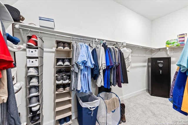 spacious closet with carpet