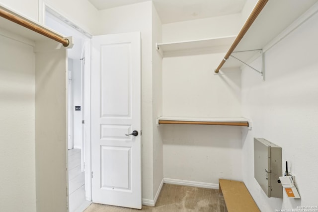 24915 Flying Arrow, San Antonio, TX 78258 - walk in closet featuring light colored carpet
