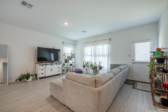 209 Wolf Crst, Seguin, TX 78155 - living room featuring wood finished floors and plenty of natural light