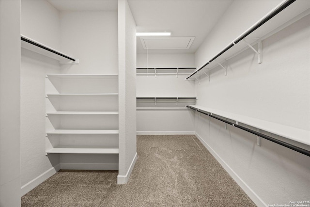 110 Madrone Trl, Boerne, TX 78006 - spacious closet featuring attic access and carpet flooring
