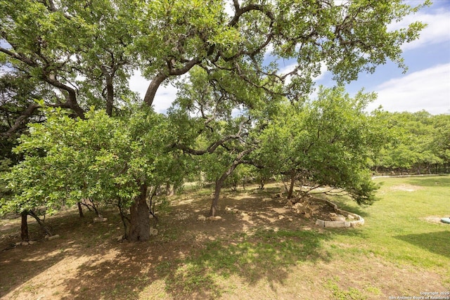 110 Madrone Trl, Boerne, TX 78006 - view of yard