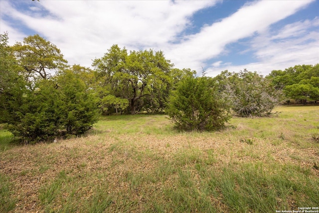 110 Madrone Trl, Boerne, TX 78006 - view of local wilderness