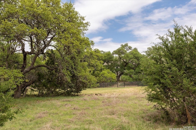 110 Madrone Trl, Boerne, TX 78006 - view of landscape