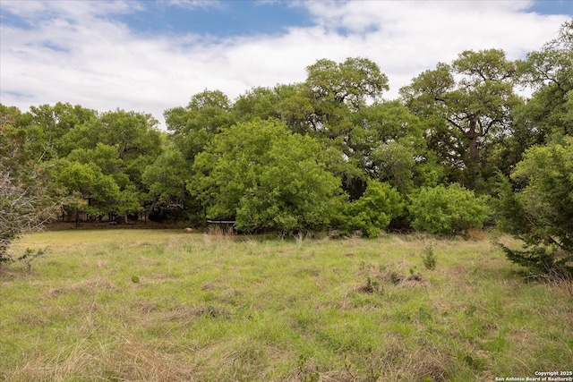 110 Madrone Trl, Boerne, TX 78006 - view of nature featuring a forest view