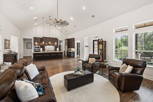 110 Madrone Trl, Boerne, TX 78006 - living area featuring high vaulted ceiling, baseboards, a ceiling fan, and dark wood-type flooring