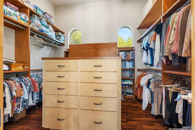 4001 Bell Springs Rd, Dripping Springs, TX 78620 - spacious closet with dark wood-style floors