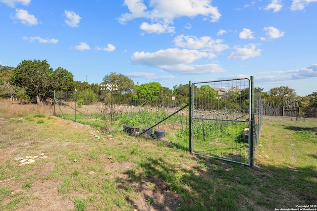 4001 Bell Springs Rd, Dripping Springs, TX 78620 - view of yard with a garden and fence