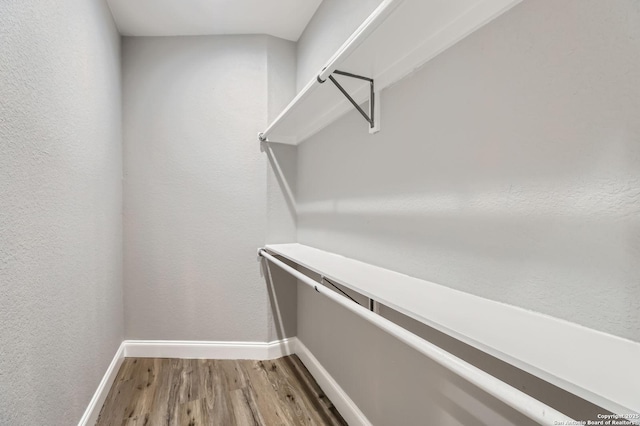 walk in closet featuring light wood-style floors