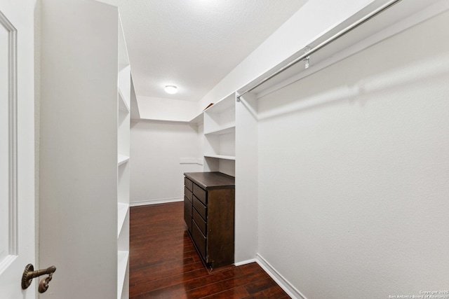 walk in closet featuring dark wood-type flooring