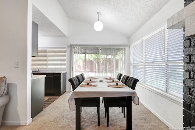 6807 Burnley, San Antonio, TX 78239 - dining room featuring light colored carpet, lofted ceiling, a healthy amount of sunlight, and a textured ceiling