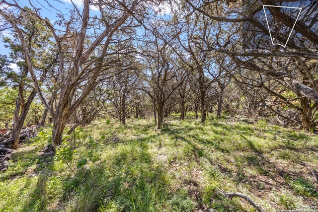 27210 Starry Mtn, San Antonio, TX 78260