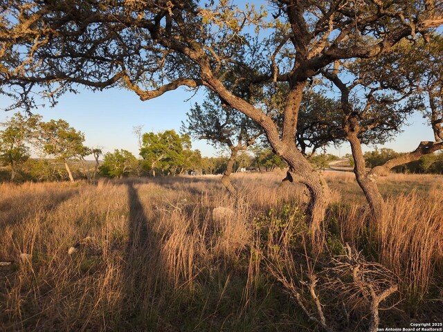 130 Falling Leaves, Blanco, TX 78606