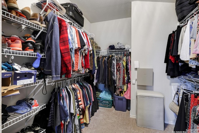 711 Point Spgs, San Antonio, TX 78253 - spacious closet with carpet floors