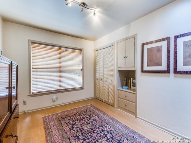 interior space with light wood finished floors and a closet