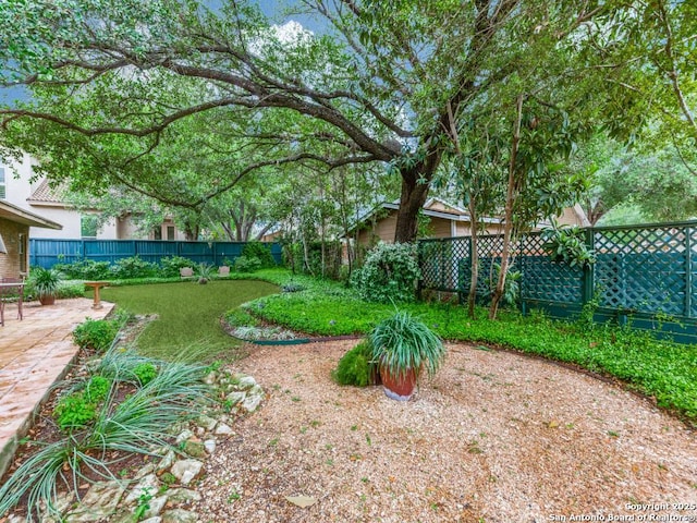 view of yard featuring a patio area and a fenced backyard