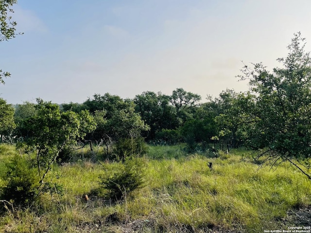 395 Shady Holw, New Braunfels, TX 78132