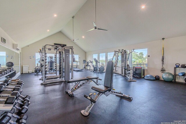 395 Shady Holw, New Braunfels, TX 78132