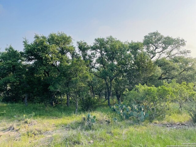 395 Shady Holw, New Braunfels, TX 78132