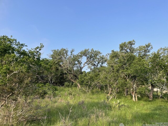 395 Shady Holw, New Braunfels, TX 78132