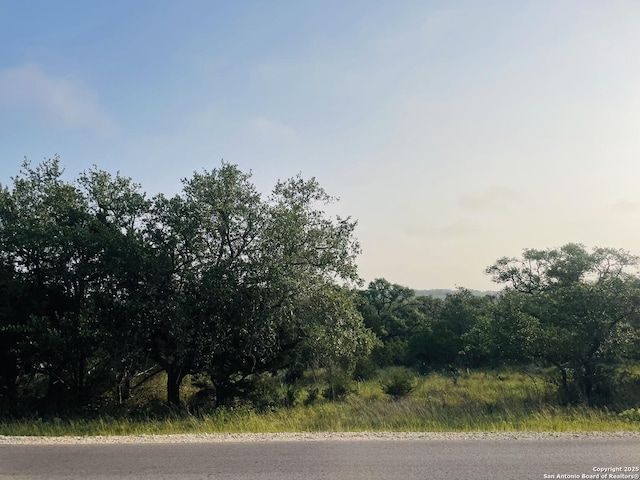 395 Shady Holw, New Braunfels, TX 78132
