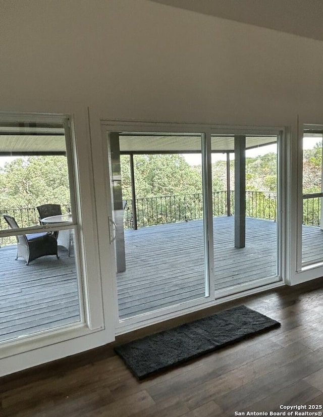 doorway to outside featuring dark wood-style floors