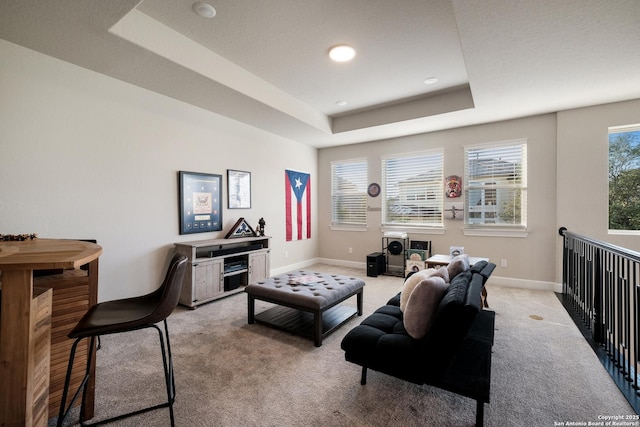 16106 Salto Del Agua, San Antonio, TX 78255 - living area with a raised ceiling, baseboards, and light colored carpet