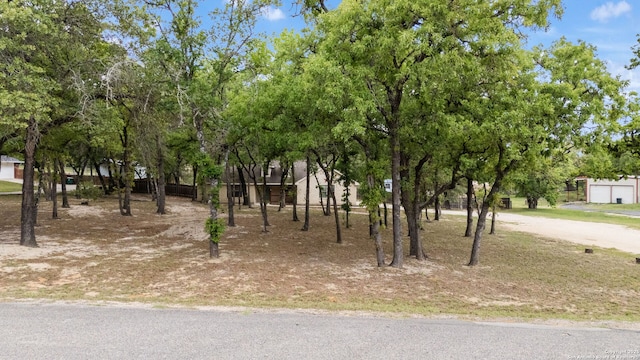 170 Pullman Rd, La Vernia, TX 78121 - view of landscape