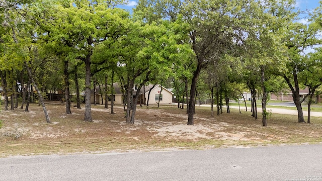170 Pullman Rd, La Vernia, TX 78121 - view of yard