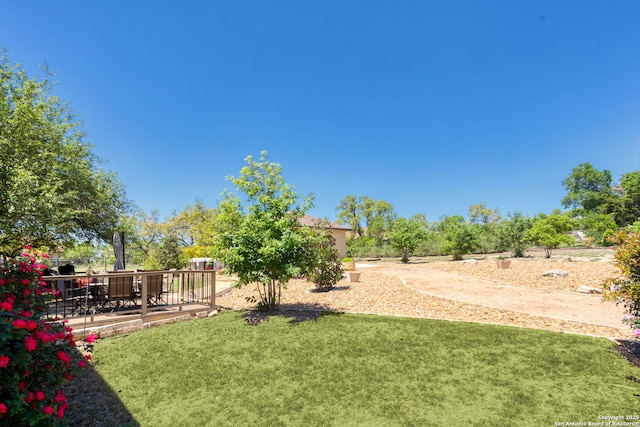 view of yard featuring a patio