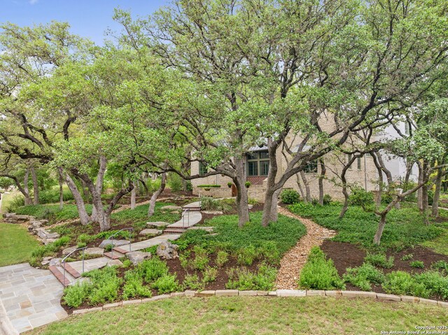 110 Turnberry Way, San Antonio, TX 78230 - view of yard