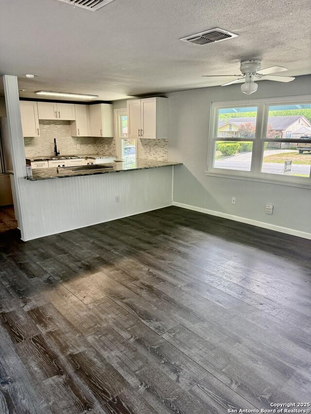 705 Short, Seguin, TX 78155 - kitchen with dark wood finished floors, a wealth of natural light, decorative backsplash, and visible vents