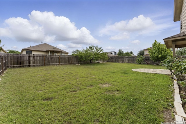 view of yard featuring a patio area and a fenced backyard