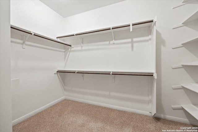 spacious closet with light carpet