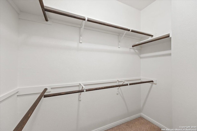 walk in closet featuring carpet floors