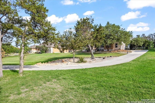 view of community with a yard
