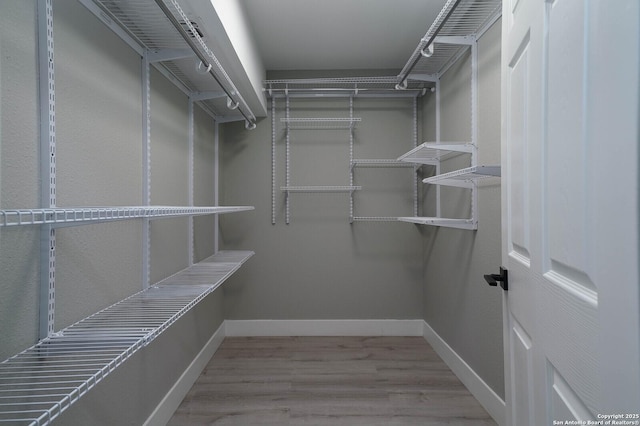 spacious closet with wood finished floors