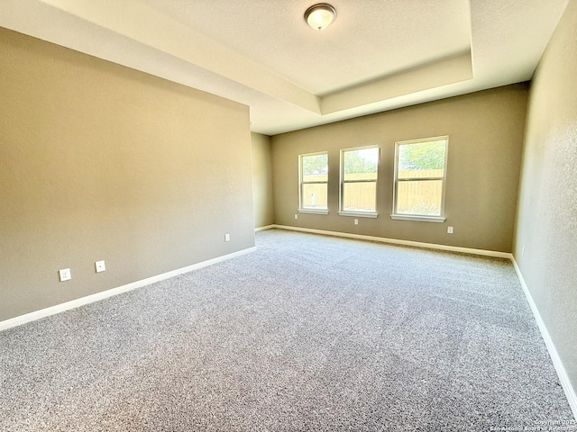 carpeted spare room with a raised ceiling and baseboards