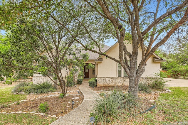 view of property hidden behind natural elements featuring stone siding and stucco siding