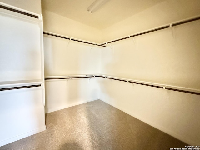 view of walk in closet