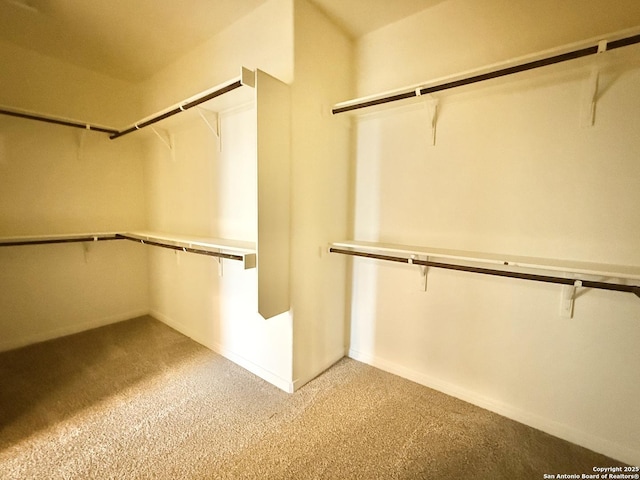 spacious closet featuring light colored carpet