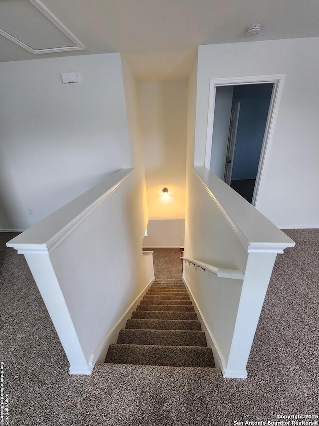 stairway featuring attic access and carpet floors