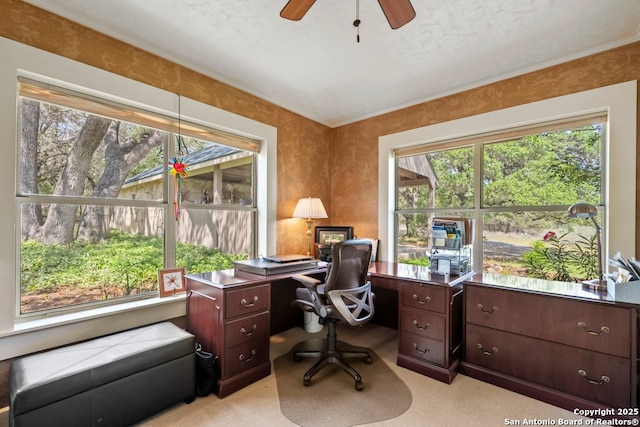 2802 State Highway 46, New Braunfels, TX 78132 - home office with plenty of natural light, light carpet, and ceiling fan