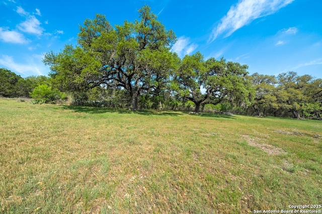 2802 State Highway 46, New Braunfels, TX 78132 - view of grassy yard