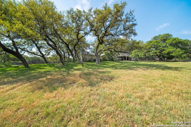 2802 State Highway 46, New Braunfels, TX 78132 - view of green lawn