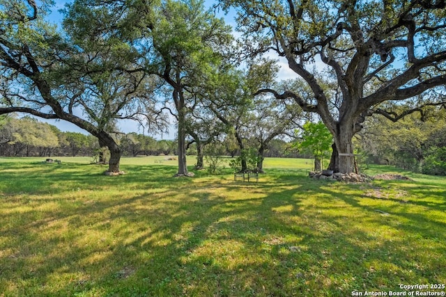 2802 State Highway 46, New Braunfels, TX 78132 - view of grassy yard