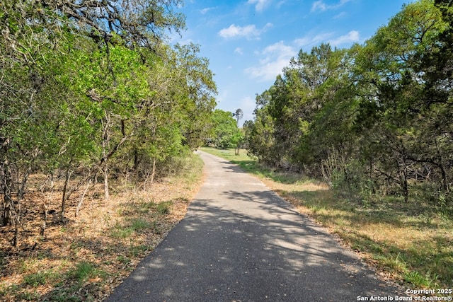 2802 State Highway 46, New Braunfels, TX 78132 - view of road featuring a view of trees